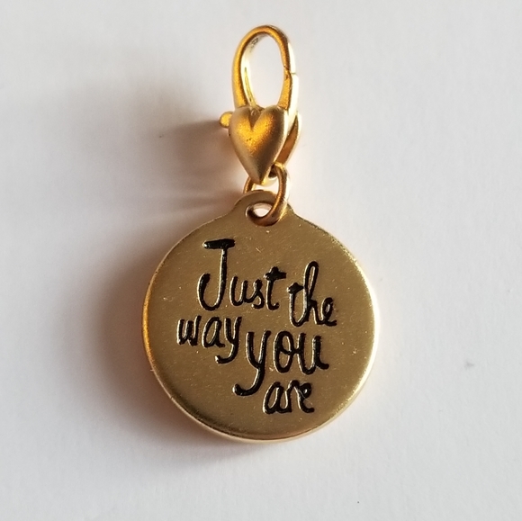 Amanda Blu Autism Puzzle Piece just the way you are clip charm - Picture 6 of 8